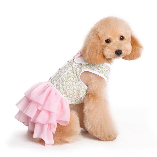 Dog dress on a dog: green floral top with open back and light pink ruffled skirt