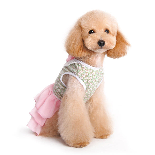 Dog dress on a dog: green floral vest with pink tutu skirt and bow at collar