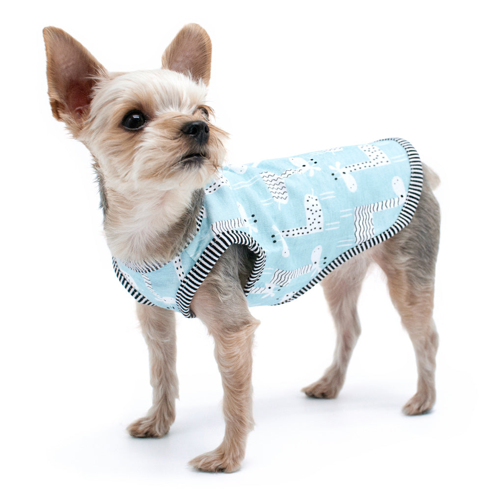 Dog wearing teal giraffe-print tank top with black-and-white striped trim and armholes.