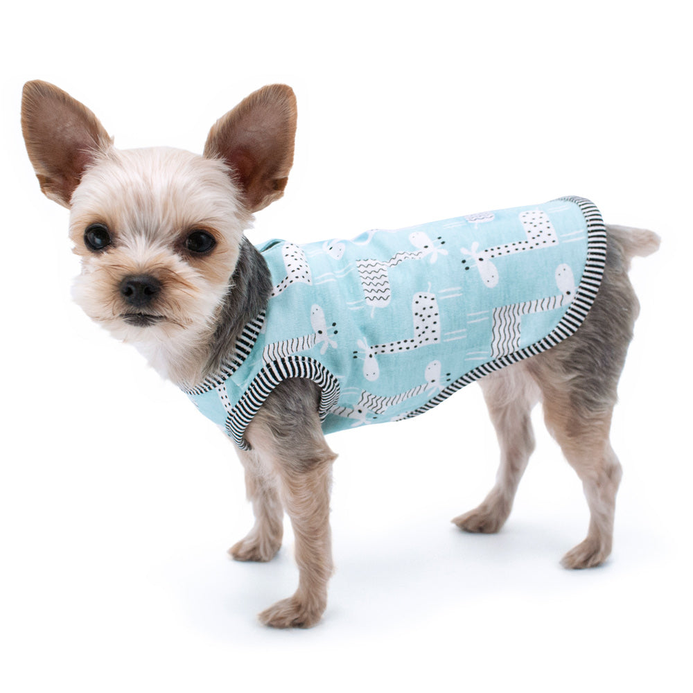 Dog modeled in a teal giraffe-themed tank top with black-and-white striped collar.