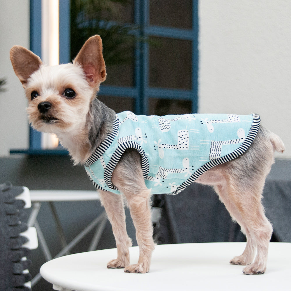 Small dog in teal printed tank top with giraffe graphics and striped armholes.