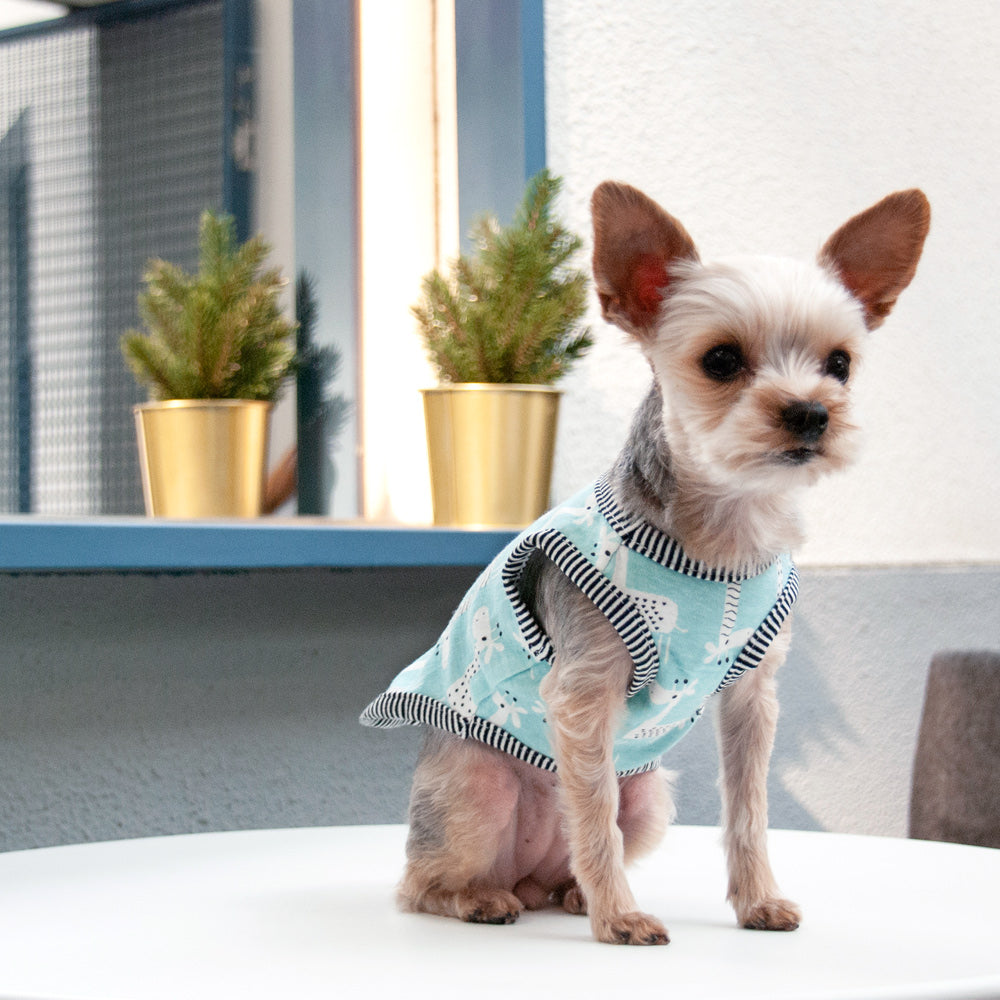 Dog wearing a teal tank top with giraffe pattern and black-and-white striped trim.