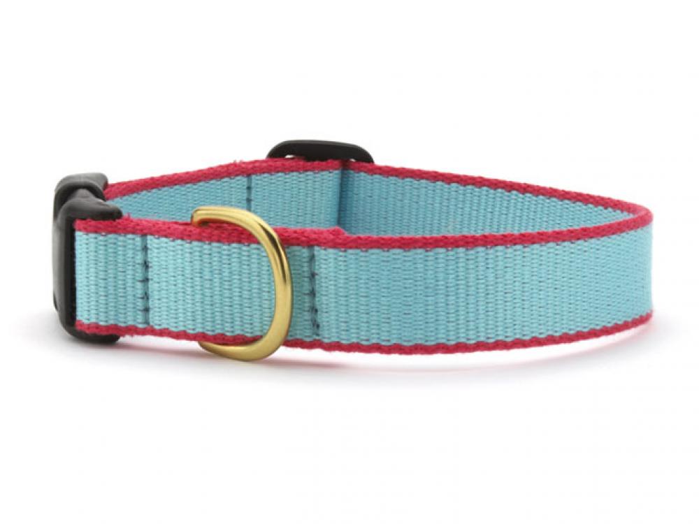 Aqua and coral dog collar with black buckle and gold D-ring