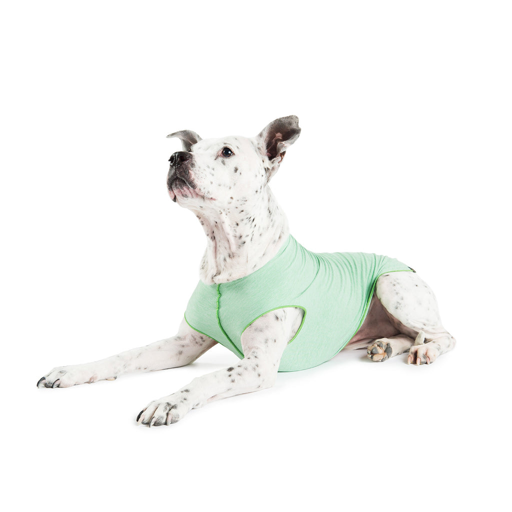 Pistachio green dog sun-shield tee with short sleeves and curved side panels