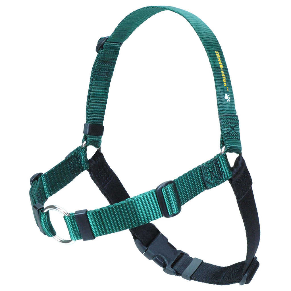Green dog harness with teal straps and black chest and belly padding