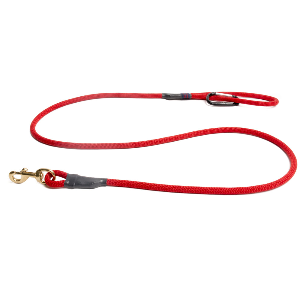 Red rope dog leash with black strap and gold hook clasp, red handle loop