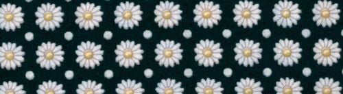 Close-up of daisy print fabric for dog collar: white flowers with yellow centers on dark background