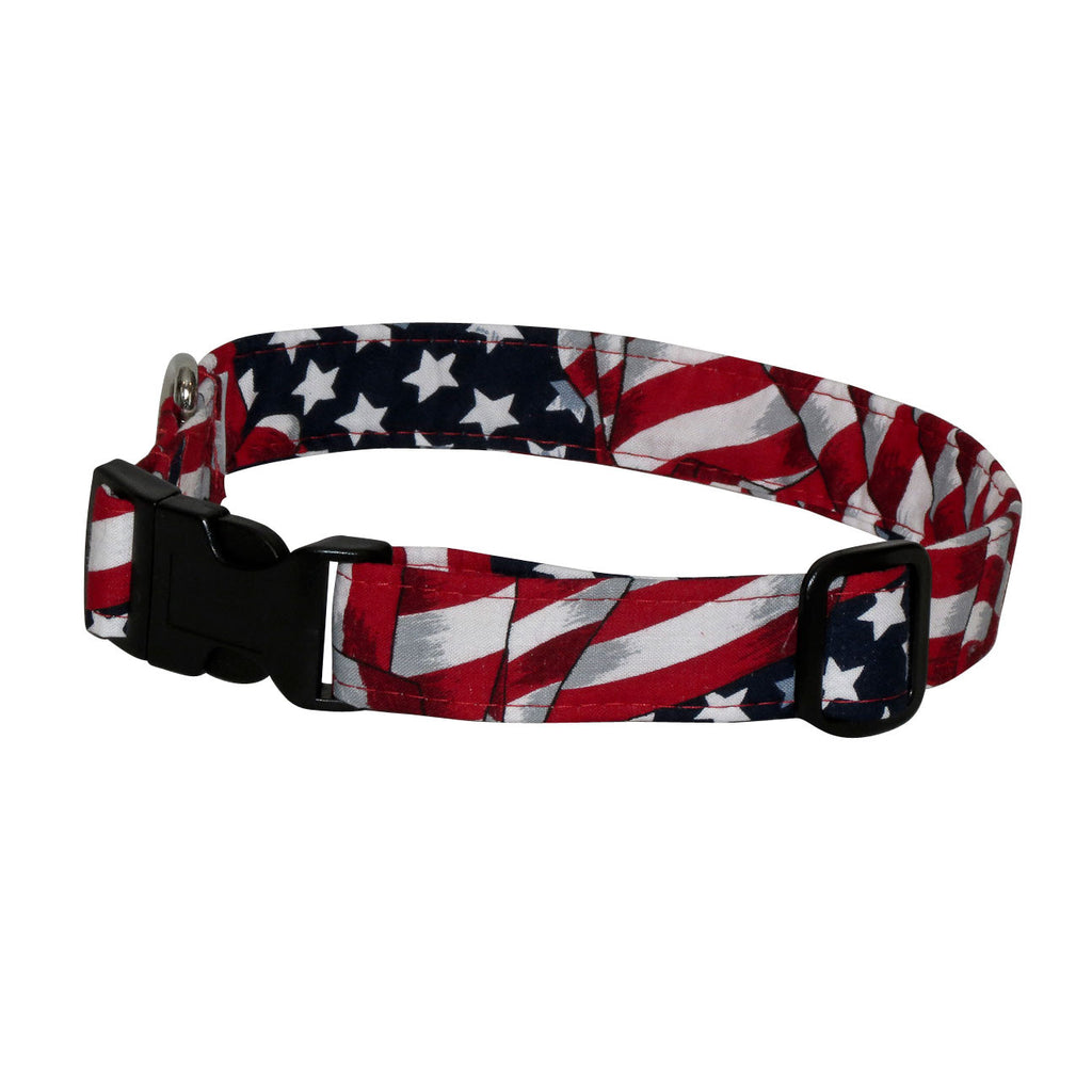 Red, white, and blue star-and-striped dog collar with black buckle and hardware