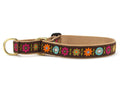 Brown floral martingale dog collar with colorful flowers and round accents, brass buckle