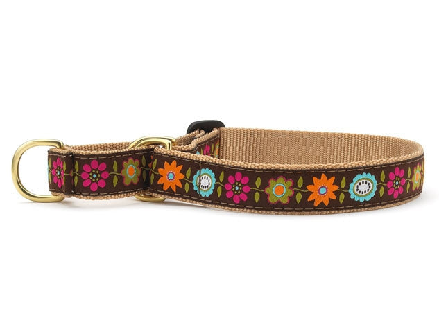 Brown floral martingale dog collar with colorful flowers and round accents, brass buckle