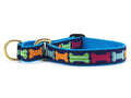 Martingale dog collar with blue webbing and multicolor bone and paw pattern, brass ring