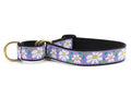 Daisy martingale dog collar, purple floral print on black strap with brass hardware.