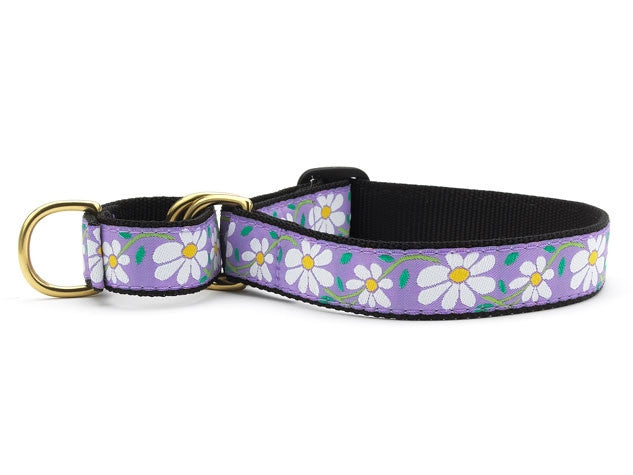Daisy martingale dog collar, purple floral print on black strap with brass hardware.