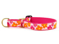 Pink and orange flower martingale dog collar with gold buckle and D-ring