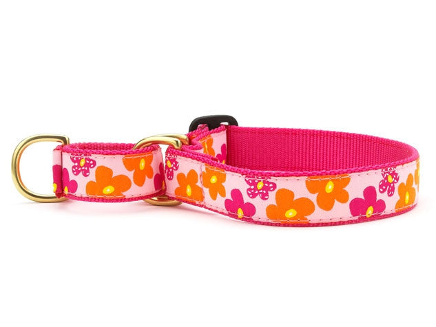 Pink and orange flower martingale dog collar with gold buckle and D-ring
