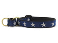 Blue dog collar with white star pattern and brass buckle, black loop strap