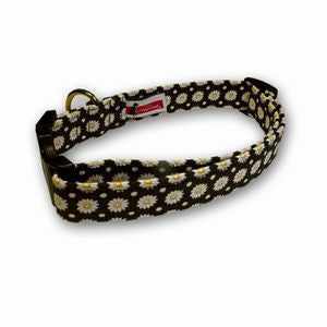 Daisy-pattern dog collar with black band, white flowers, yellow centers, and pink tag