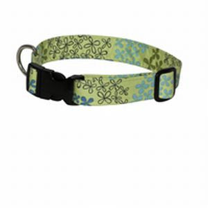 Green dog collar with blue flower pattern, black buckle, and metal D-ring