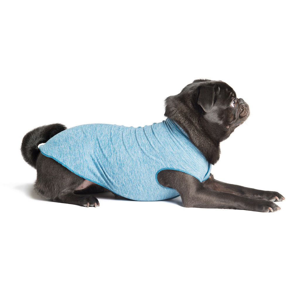 Light blue sun shield dog tee with oval arm openings, snug fit for small dogs