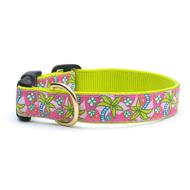 Pink and green patterned dog collar with brass buckle and metal D-ring