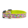 Pink and green patterned dog collar with brass buckle and metal D-ring