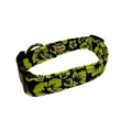 Blue green floral dog collar with black trim and metal buckle