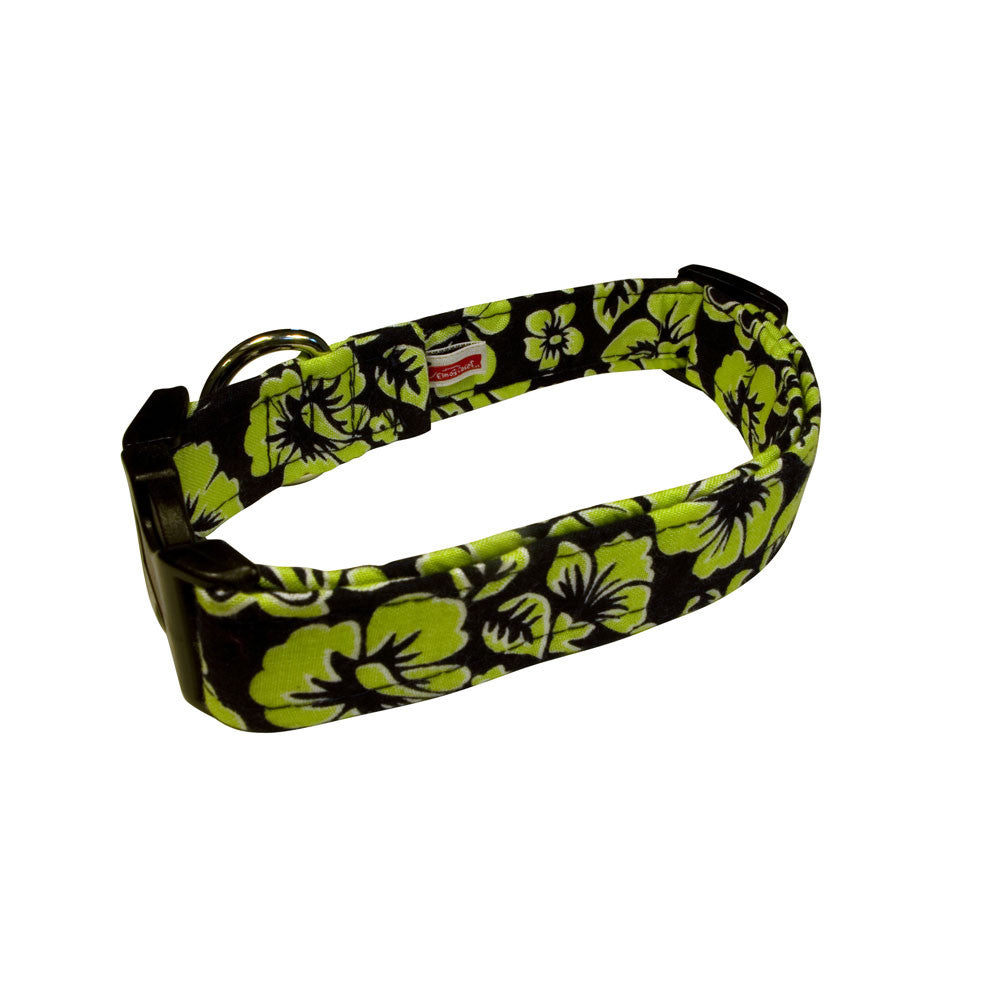 Blue green floral dog collar with black trim and metal buckle