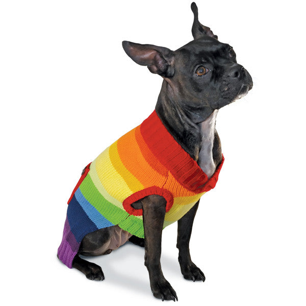 Dog wearing a rainbow striped knit sweater in red, yellow, green, blue, and purple