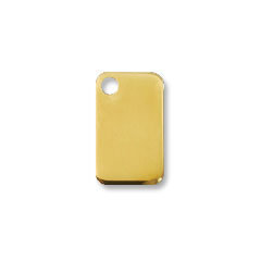 Red Dingo brass rectangle dog ID tag, small size with top hole