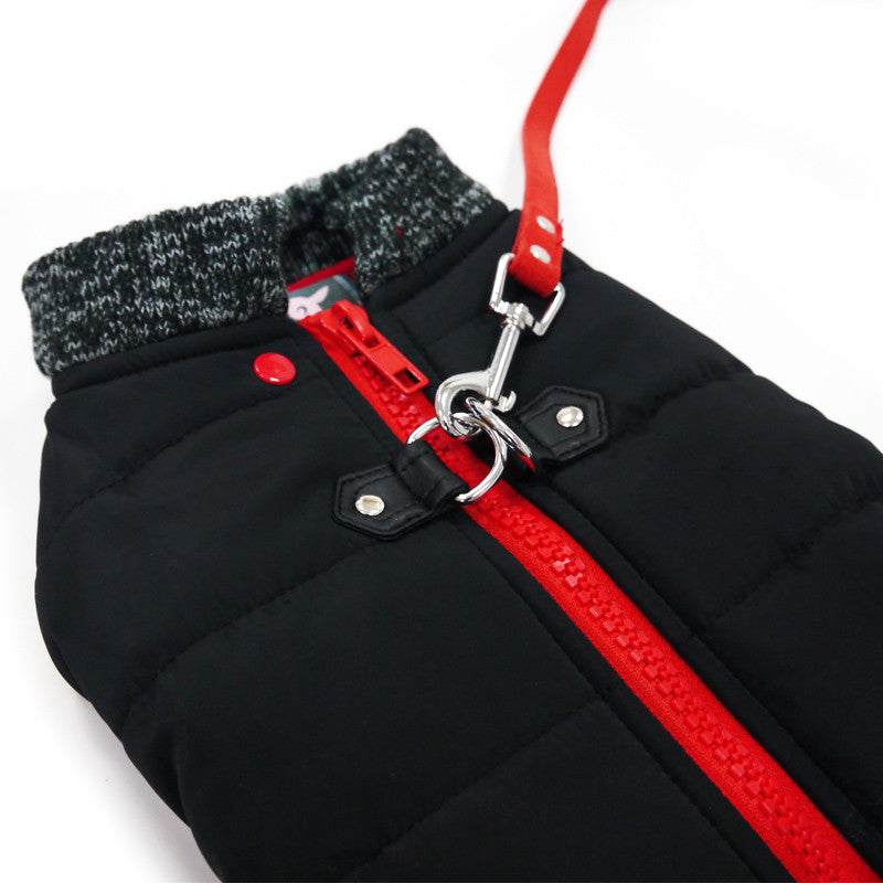 Black dog coat close-up with red zipper pull and metal D-ring