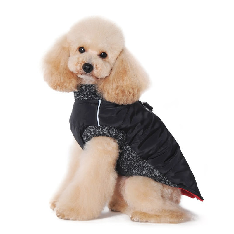Black padded dog coat with stand collar and red zipper