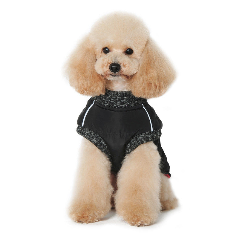 Black dog coat with gray knit trim and red-accent zipper pull