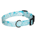 Turquoise fabric dog collar with light blue sand-dollar pattern and metal D-ring buckle