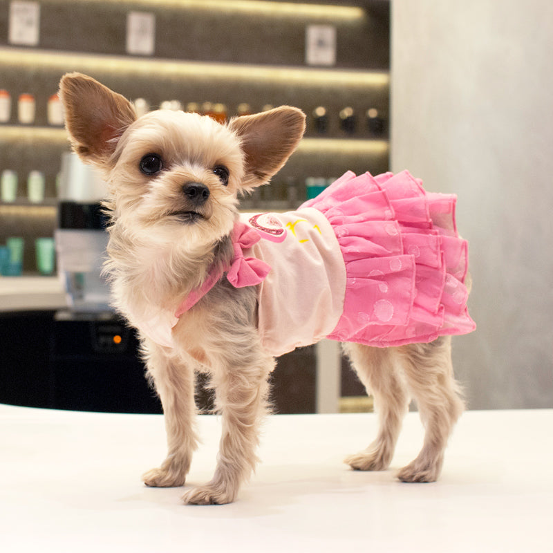 Pink flamingo dog dress on a small dog with layered ruffle skirt and bow straps