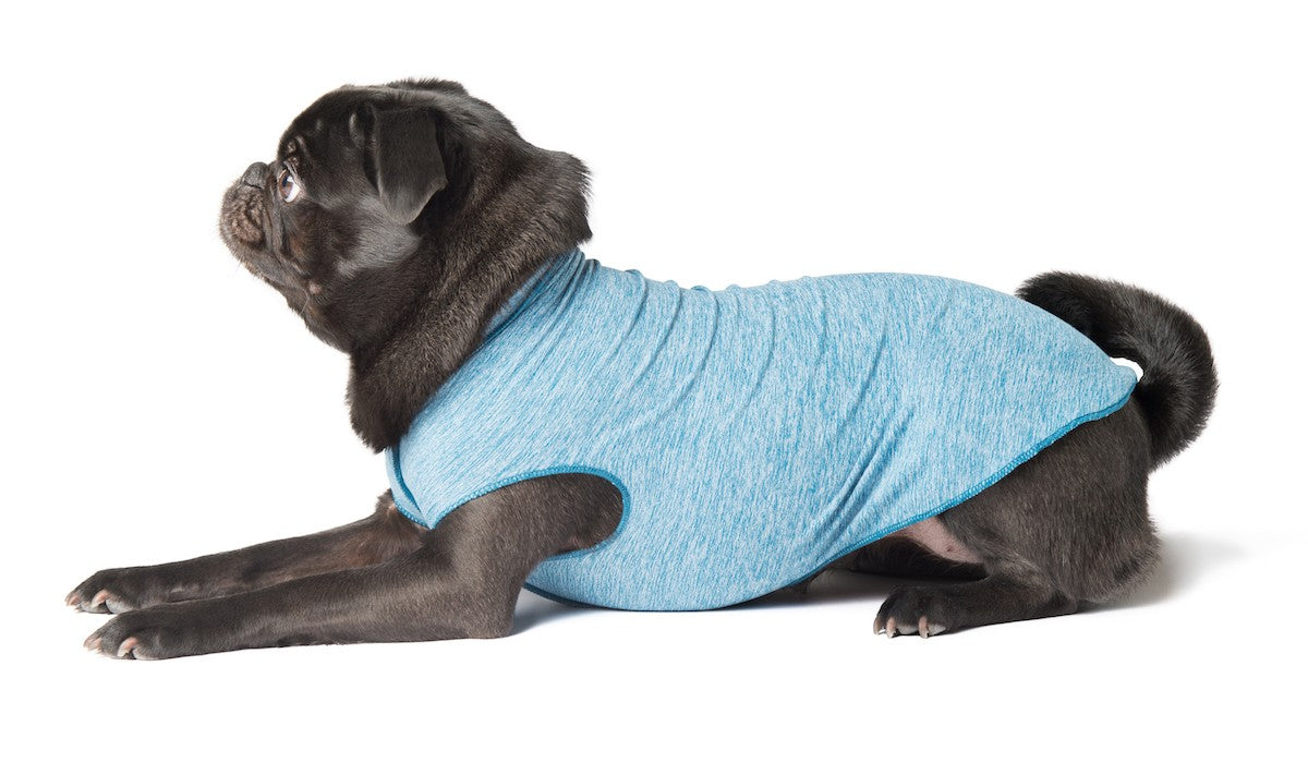 Light blue dog tee with oval cutout at side, sleeveless stretch fit