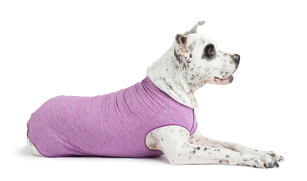 Violet sun-shield dog tee on white speckled dog lying, side view