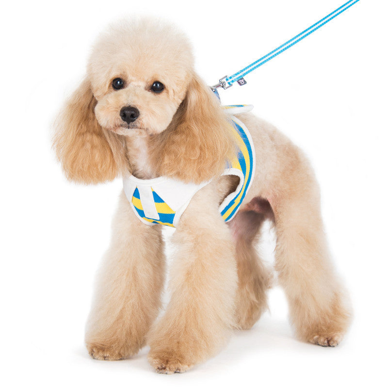 Dog polo-style harness in blue and yellow stripes with matching blue leash