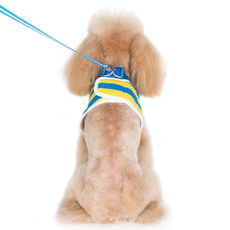 Back of dog polo-style harness with blue collar strap and blue-yellow striped pattern