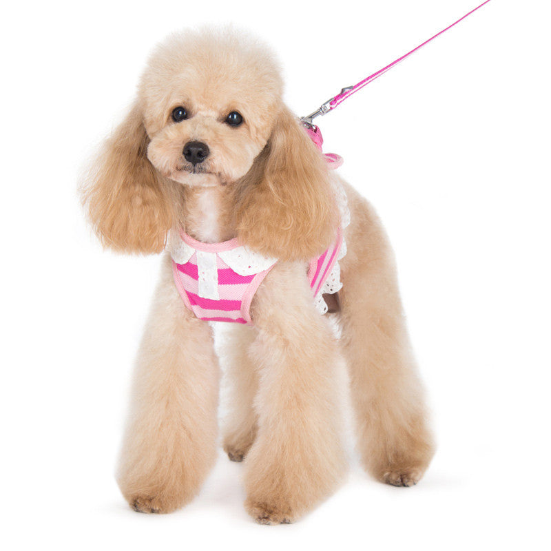 Pink striped dog harness with white trim and leash attachment