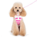 Pink striped dog harness with white trim, leash attached