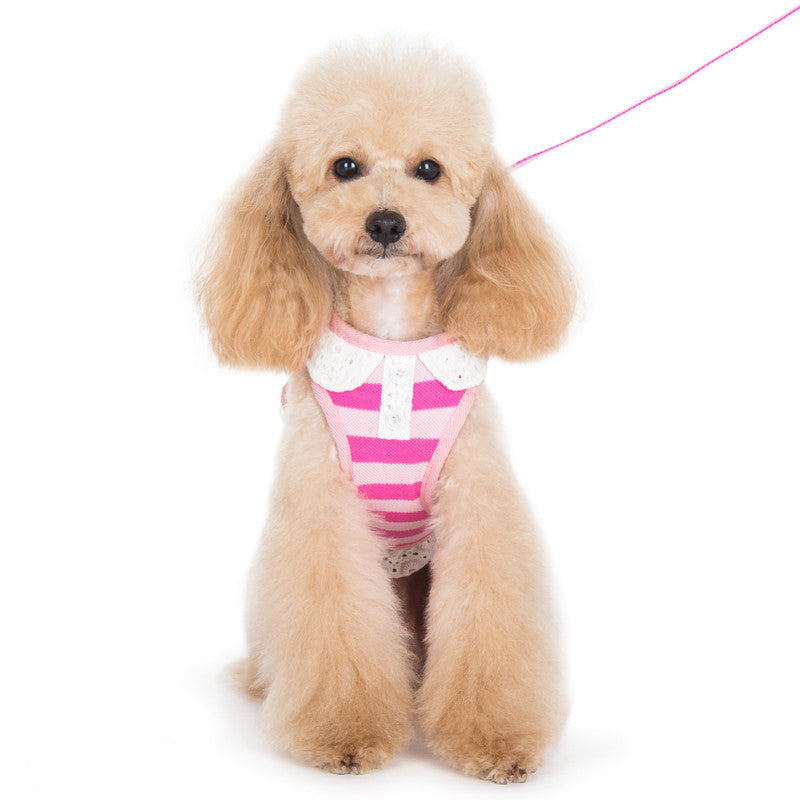 Pink striped dog harness with white trim, leash attached