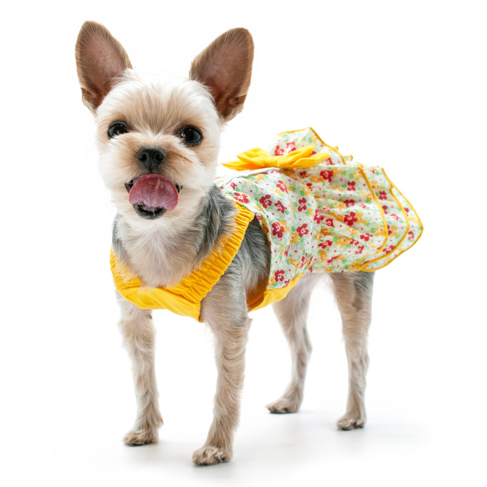 Floral ruffle dog dress with yellow bodice and bow, worn by a small white dog