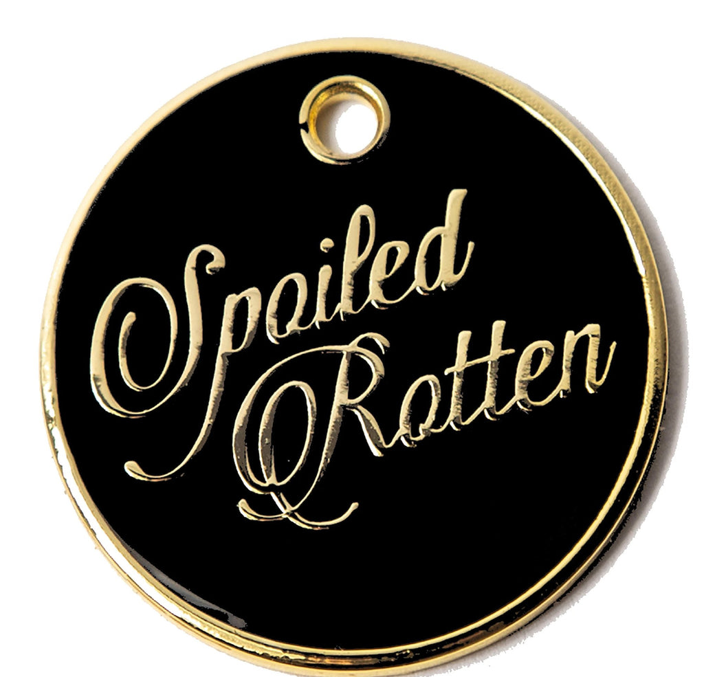 Round black dog ID tag with gold “Spoiled Rotten” script and top hanging hole