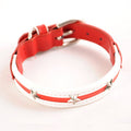 Red dog collar with white underside and silver star studs