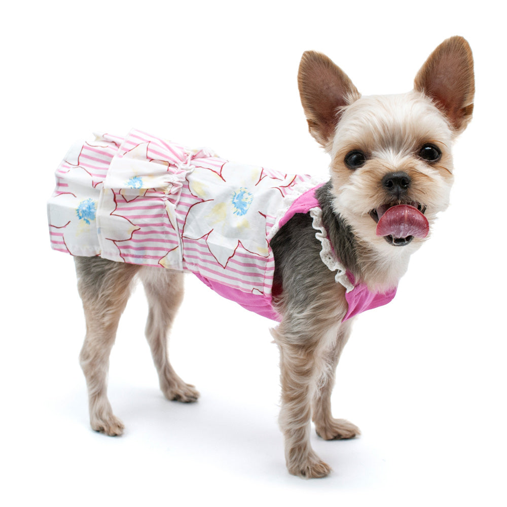 Small dog wearing a sleeveless white-and-pink floral stripe dress with ruffled skirt