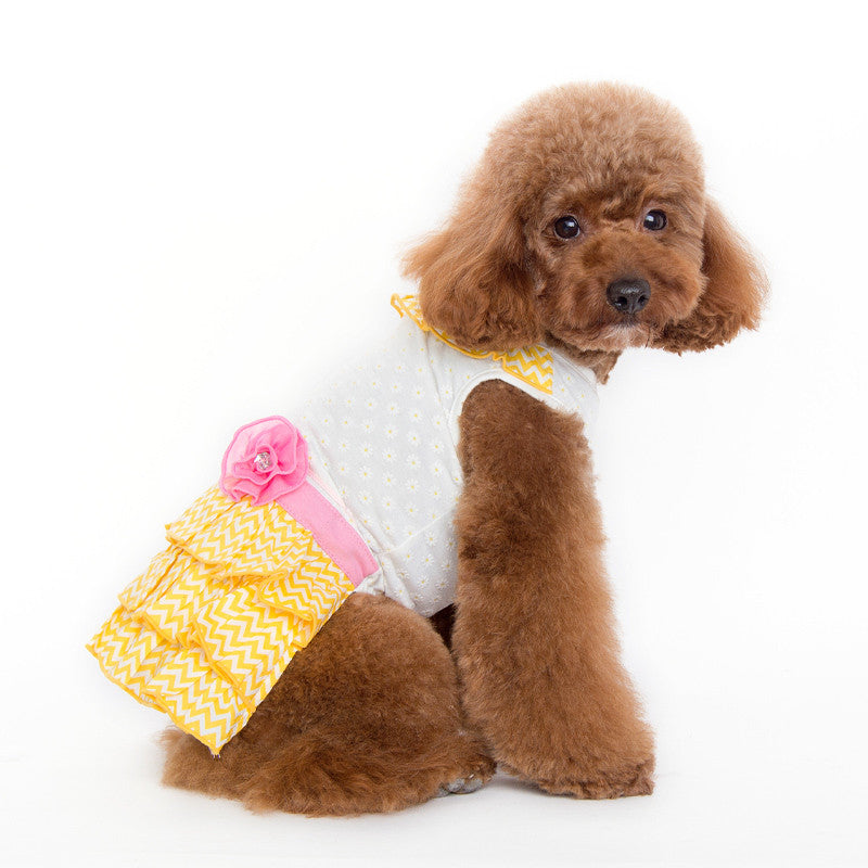 Dog wearing dress: white bodice, yellow chevron skirt ruffles, pink flower at shoulder