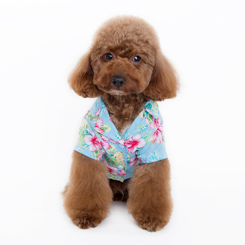 Light blue dog shirt with pink and green hibiscus floral print, button-up