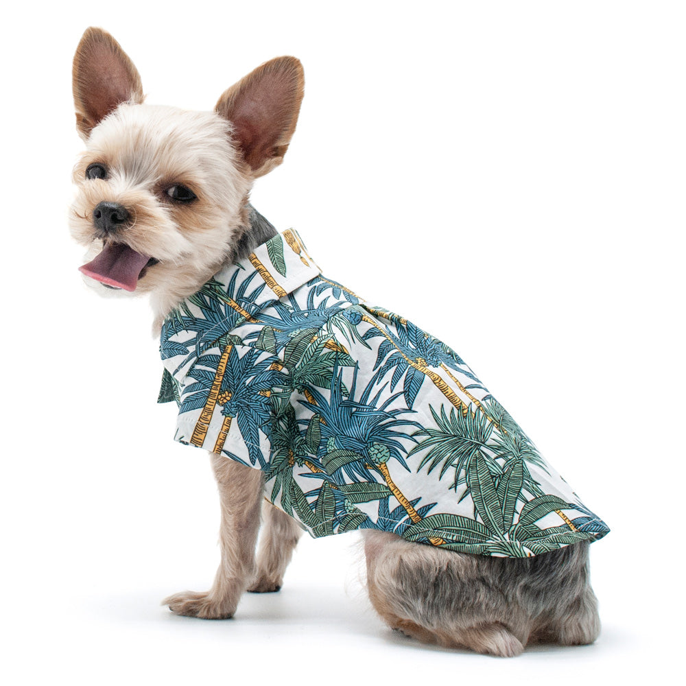 Tropical leaf dog shirt in white with blue and green leaves and yellow accents