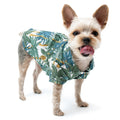 Hawaiian-style dog shirt with tropical leaf print in green, blue, and white