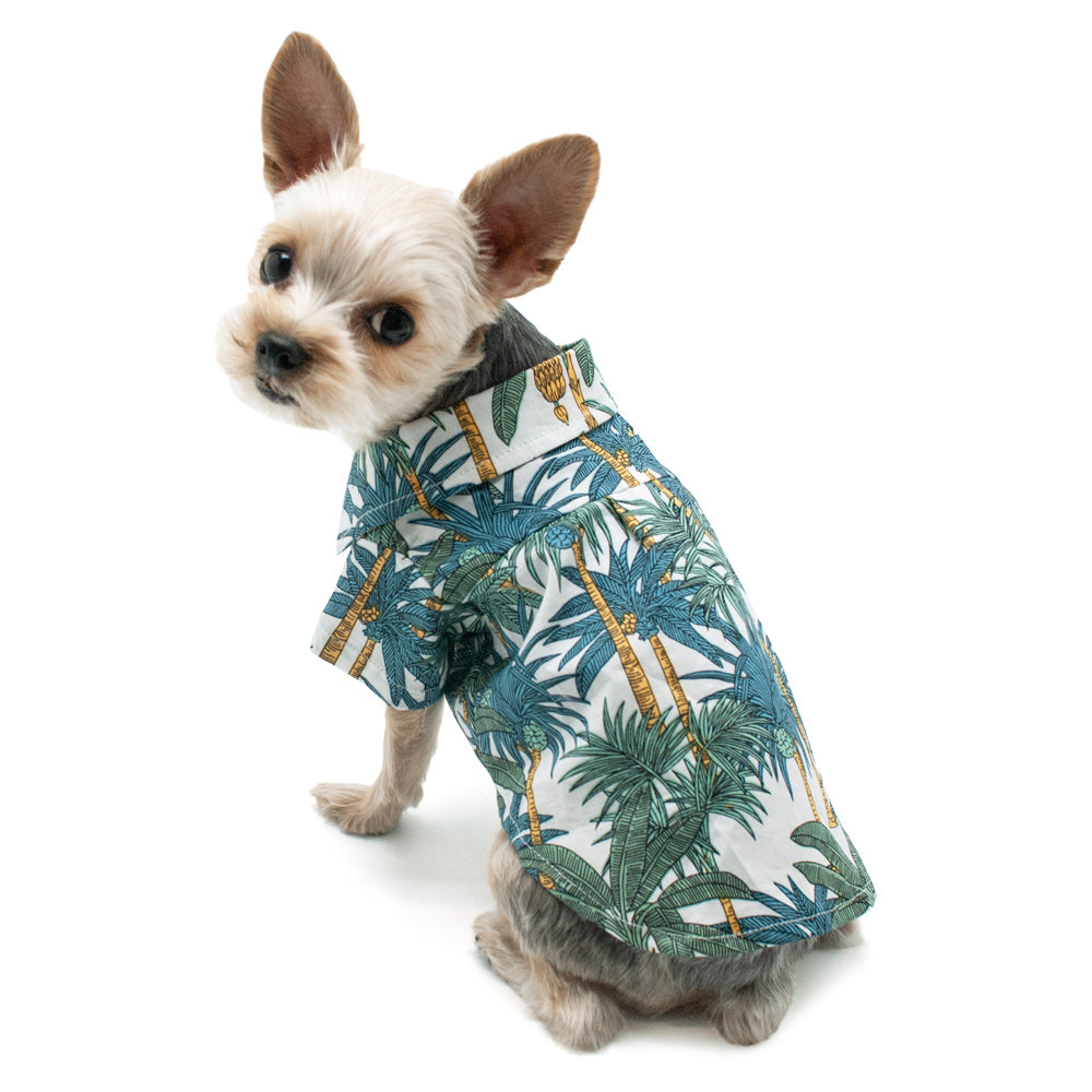 Tropical leaf Hawaiian dog shirt, blue-green leaf print on white background